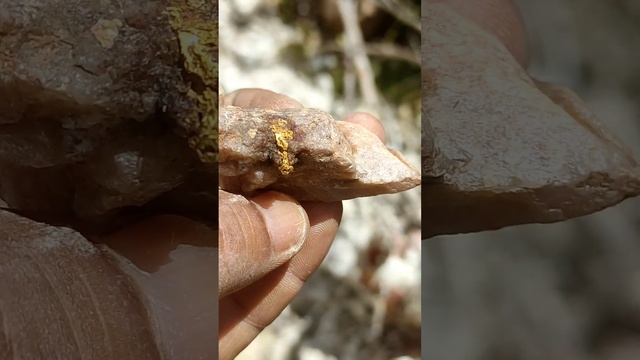 Uma das pedras de ouro mais linda e pesada que já encontrei com Detector de Metal??Gold Monster 100 смотреть онлайн