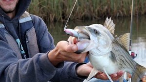 HUGE Fish Destroys Lure While Kayak Fishing! Fish of a LIFETIME!