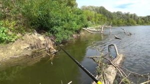 ТРОФЕЙ НА СПИННИНГ В АВГУСТЕ. ХИЩНИК ЗАШЕВЕЛИЛСЯ