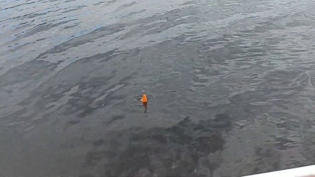 "Рыбалка на двоих" - два дня по Ваху)) смотреть онлайн