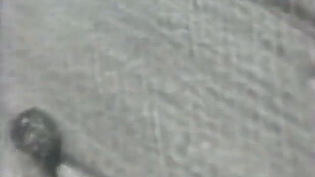 Свойства и структура материалов, 1981