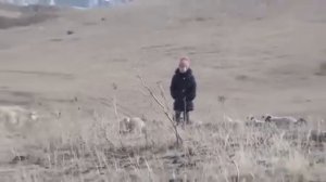 Эки аъттын ээзи Тыва кино