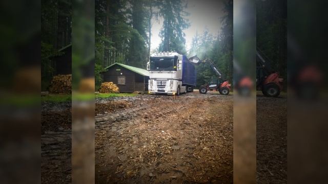 Renault Magnum 520 Sauber F1 editions смотреть онлайн