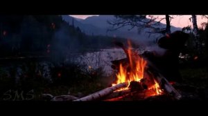 Страшные истории на ночь. Лесник. Страшные истории. Creepypasta. Ужасы. Истории.