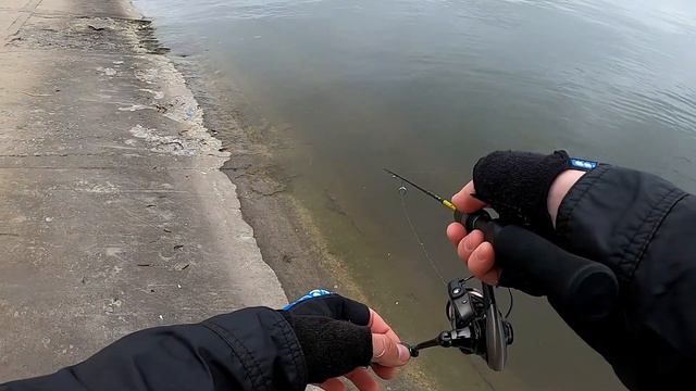 ОТВОДНОЙ Против МОРМО - на что поймаю больше?? Лещ и плотва в прилове))
