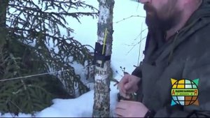 Как защитить периметр стоянки в лесу