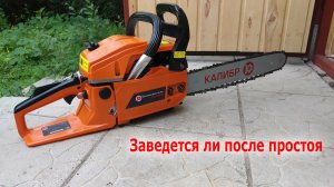 Заводим бензопилу калибр после простоя в год