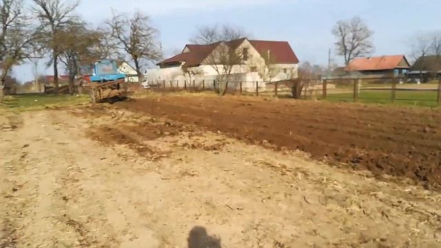 Трактор МТЗ 80, первая пахота 2021 смотреть онлайн