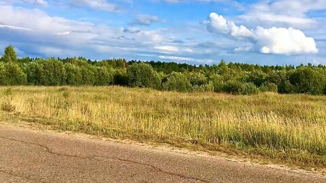 Красивые пейзажи различных мест Усть-Кубинского района в Вологодской области. 21.07.2021.№2.