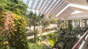 Dusit Thani Pattaya in detail