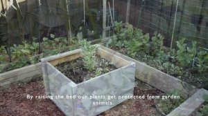 Victory Garden During Lockdown