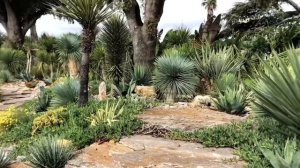 Бордо. Путешествие по Франции