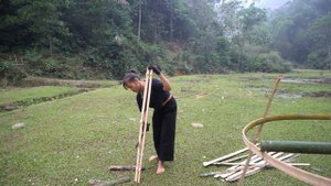 Solo bushcraft ! LIVING OFF GRID, survival alone | Free Life, Build Bushcraft Survival Shelter