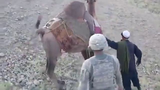 Soldiers VS Camel Spider смотреть онлайн