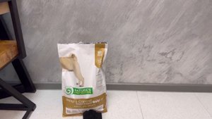 Сколько в месяц уходит денег на мопса?🐶💵