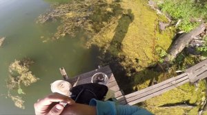 Спиннинг + ПОПЛА-ПОППЕР! Импровизируй на рыбалке. Уловистая снасть для ловли белой рыбы на спиннинг