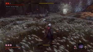Sekiro-Иссин, мастер меча (без урона, no damage)
