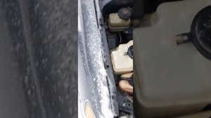 Автономный подогреватель Wölfen,год использования и первый запуск после лета.