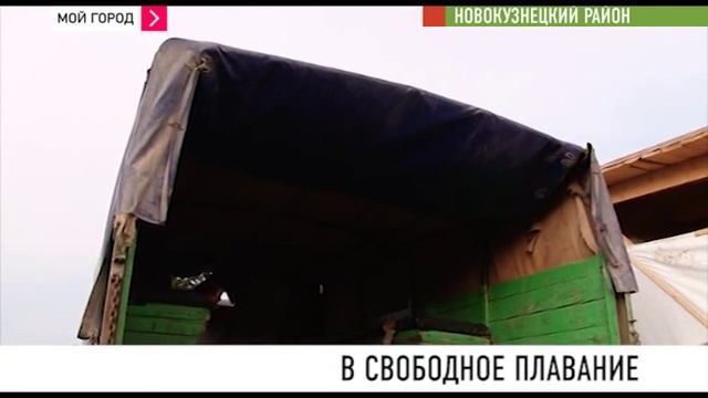 В Кузбассе химики начали выращивать хариуса и тайменя смотреть онлайн