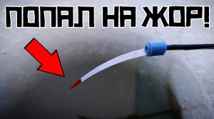 ПЕРВЫЙ ЛЁД УДИВЛЯЕТ! Опустил безмотылку и ПОНЕСЛАСЬ! Рыбалка 2023