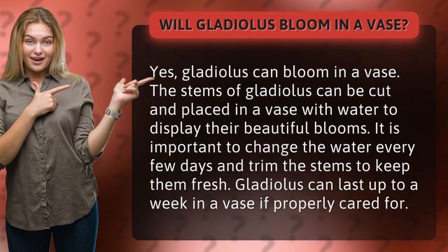 Will gladiolus bloom in a vase? смотреть онлайн