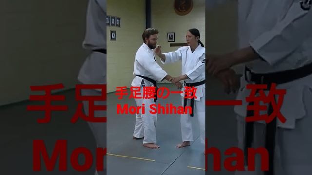 Mori Shihan「合氣必須の条件」森師範 [ The Power of Aiki ] Aikido Yoshinkan Brisbane Dojo 合氣道養神館豪州道場