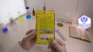 Георгина Воротничковая Денди смесь окрасок. Аэлита
