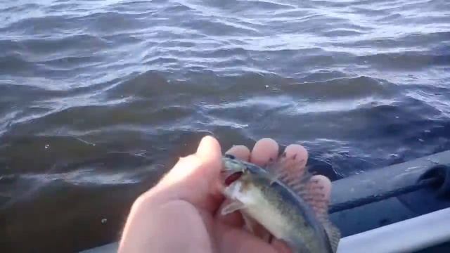 Поймал рыбу - свари уху. Слова: "поймал, отпусти" у нас не канают, мы не пиндосы. смотреть онлайн