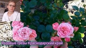 Роза БАЙЛАНДО Bailando? танцую!