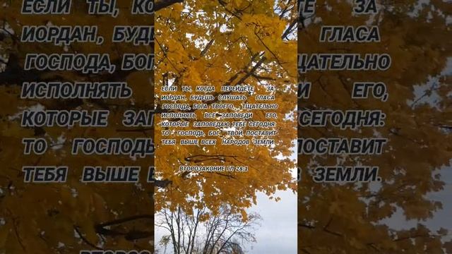 Бог твой, поставит тебя выше всех народов земли.           (Второзаконие гл 28:1)