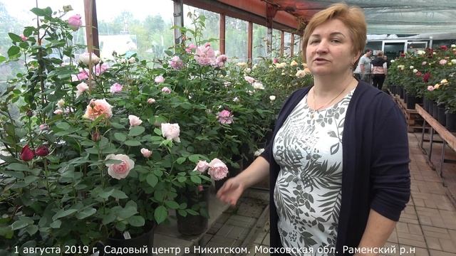 Сегодня в продаже. Садовый центр в Никитском 1 августа 2019г.