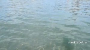 Отдых в Орджоникидзе