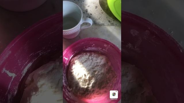 Как приготовить быстро мягкие лепёшки?