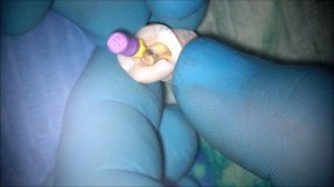 Пошаговый протокол работы Soco Sc.