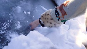 Милана Лискевич