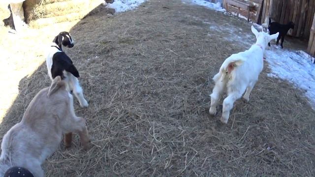 Наша настоящая жизнь
