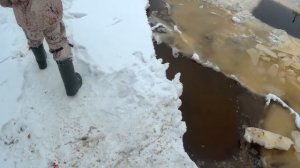 Поймал сазана руками! Клюет нормально! Рыбалка зимой Рыбалка на экран паук зимой. Рыбалка 2019