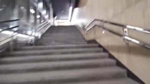 Станция метро Юго-Восточная