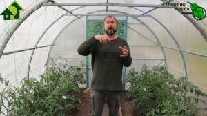 Чего не хватает томатам? КАЛИЯ или КАЛЬЦИЯ? Разбираемся в хитростях подкормок. Кальций для растений