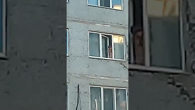 Девочка дура смотреть онлайн