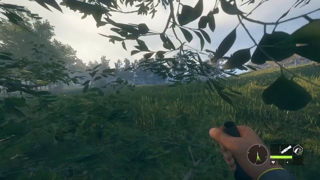 theHunter: Call of the Wild - Вертикальная охота в Новой Зеландии