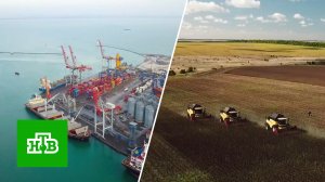 Зерновая сделка: какова настоящая цель западных союзников Киева | «Центральное телевидение»