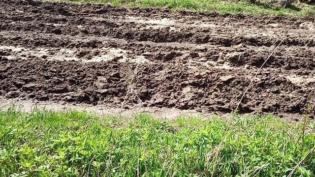 в деревне на огороде смотреть онлайн