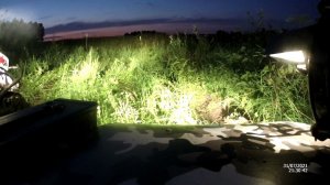 Через лес поздно вечером