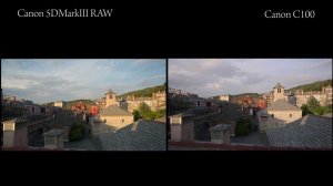 Canon 5DMarkIII RAW  vs Canon C100