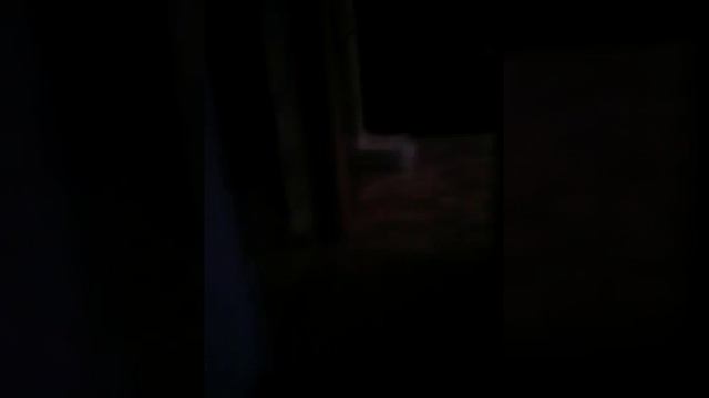 Короче говоря я завел собаку смотреть онлайн