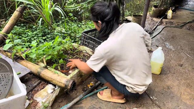 丑爸爸整好家里的猪栏，还种了点蒜苗 смотреть онлайн
