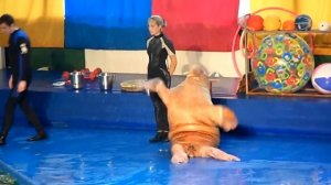 Танец с дельфином