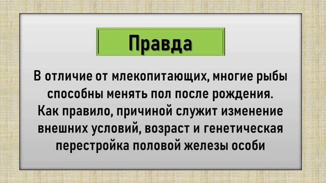 ПРАВДА или ЛОЖЬ. ТЕСТ на ЭРУДИЦИЮ. Викторина с ответами. + Бонус