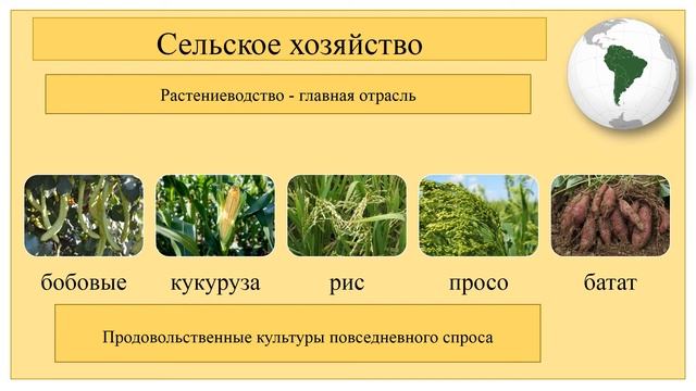 8 класс. География. Хозяйство стран Южной Америки смотреть онлайн